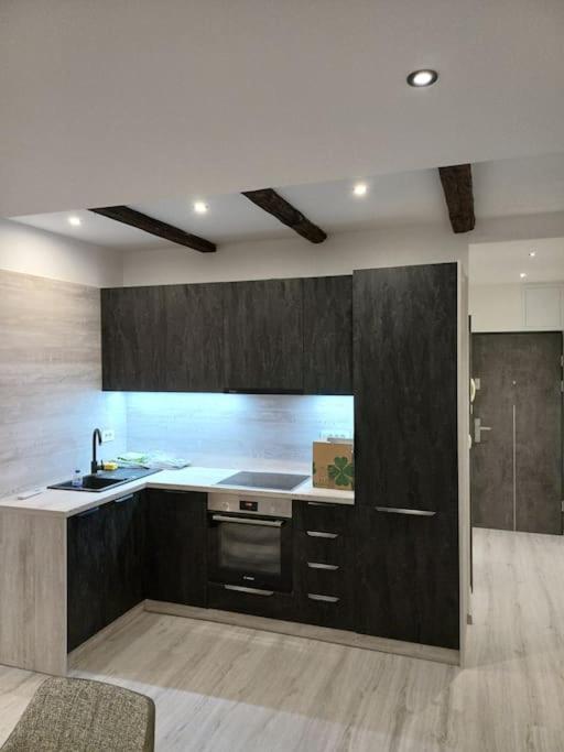 Apartman Ena Radiceva Zagreb Eksteriør bilde