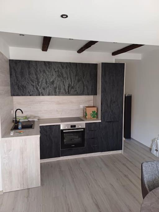 Apartman Ena Radiceva Zagreb Eksteriør bilde